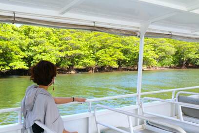 大人女子・癒しのひとり旅。星野リゾート 西表島ホテルでのんびり島ステイ