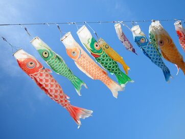 鯉のぼりはいつしまう？五月人形が出世に関係？端午の節句の意味と祝い方
