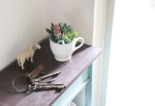「多肉植物カップ」を飾った棚