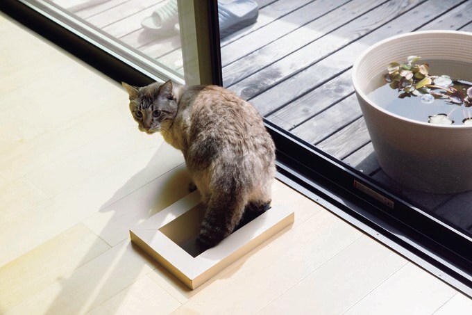 猫の出入り口