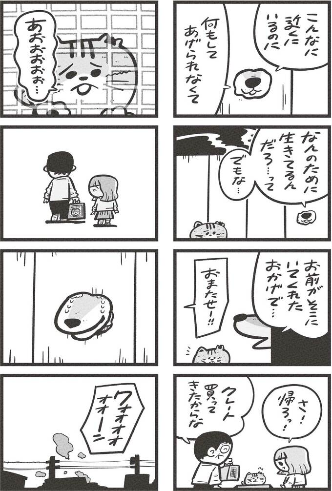 ©吉本ユータヌキ・扶桑社