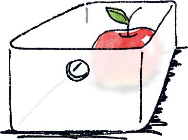 半透明の収納ケース