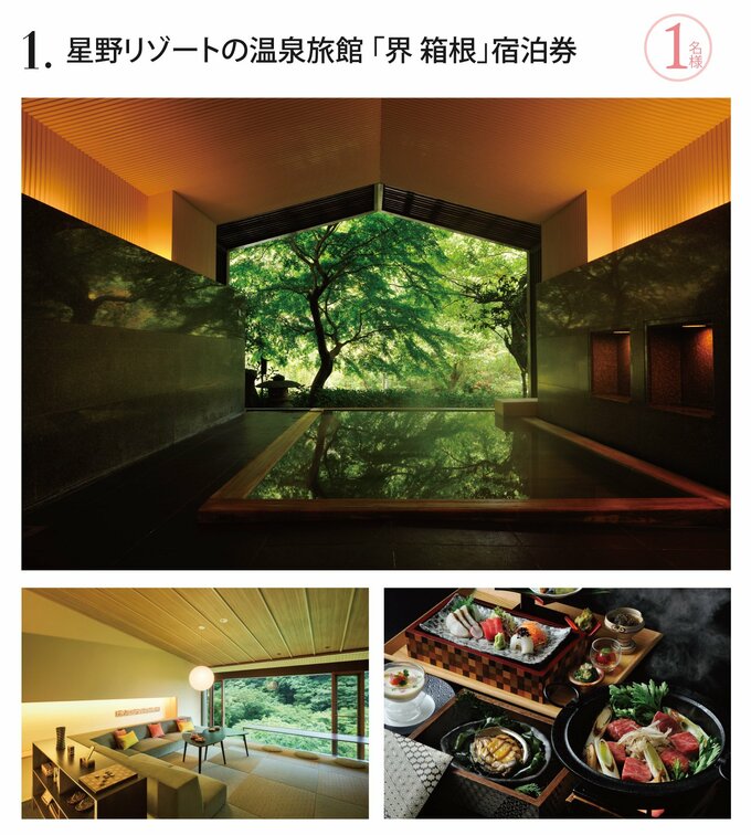 星野リゾートの温泉旅館「界 箱根」宿泊券