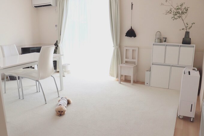 筆者のリビング