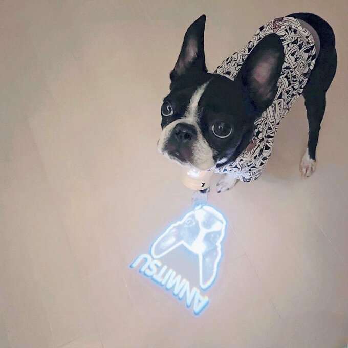 愛犬の顔と名前の形に光LEDライト