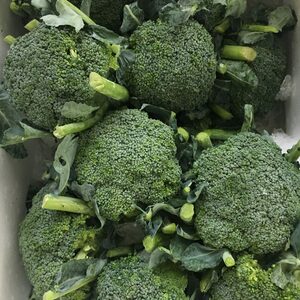 無限ブロッコリー