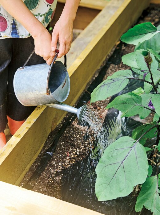 野菜に水をあげる女性