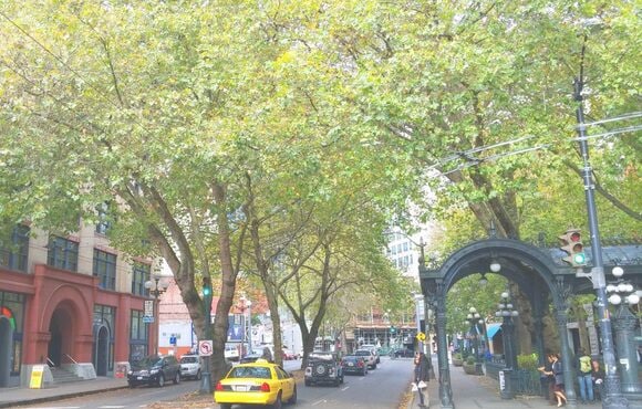 築100年超えがごろごろ、シアトルの街並み