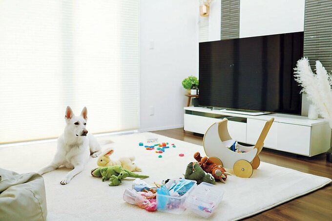テレビ前に犬