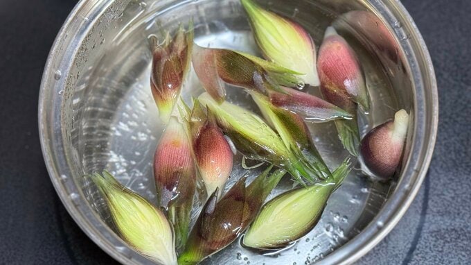 ミョウガをゆでている様子