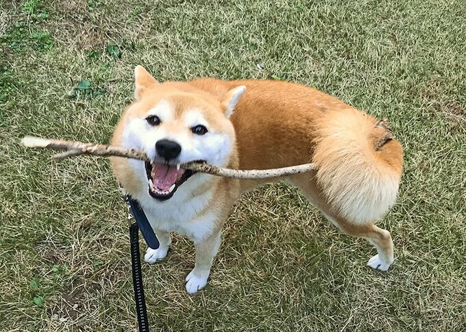 少しして違和感に気づいた