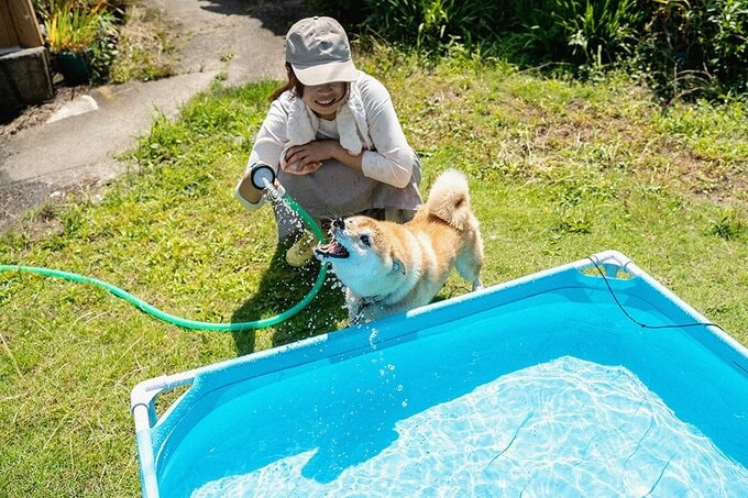 ホースから水をのむ