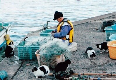猫の数が人間の2倍。人と猫とがともに生きる小さな島の暮らし