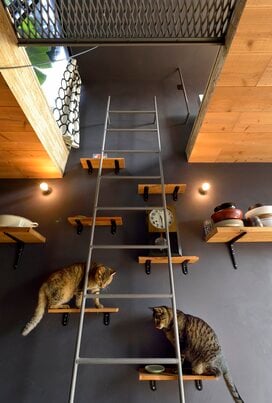 【注文住宅事例】家まるごとキャットタワー！狭小住宅でもネコ3匹と暮らすアイデアとは？