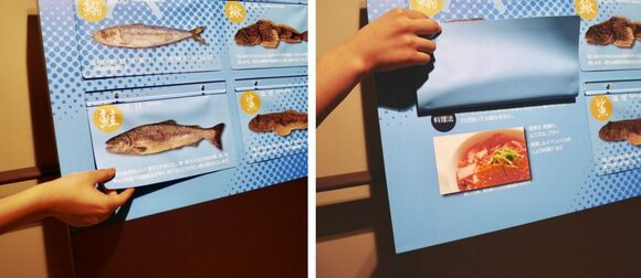 見学通路には魚の知識や、おいしい食べ方がわかる仕かけがたくさん