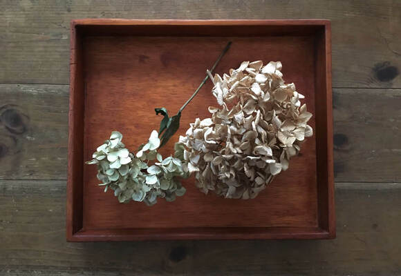 アジサイのドライフラワーを、買ってきた木の箱と合わせて