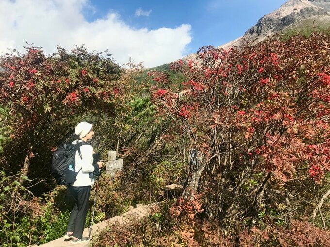 山を登る女性