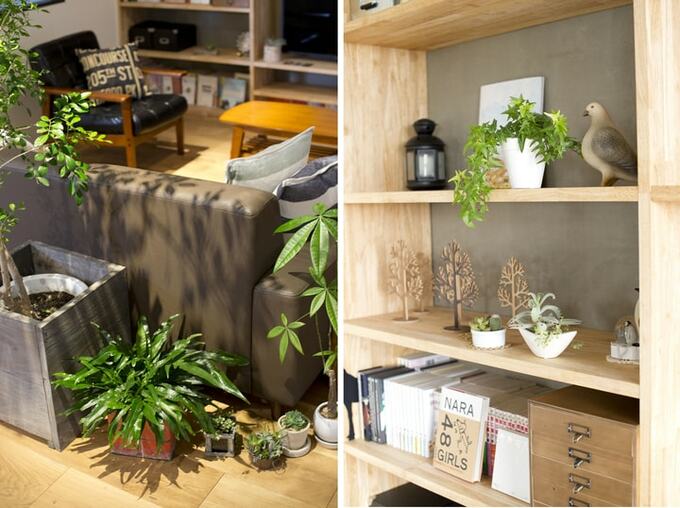 グリーンのある暮らし