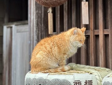 50代女性の「ひとり旅」。自分で手配とツアー、どちらも体験して気がついたこと