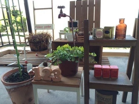 ベランダにたくさん飾っていた植物と雑貨