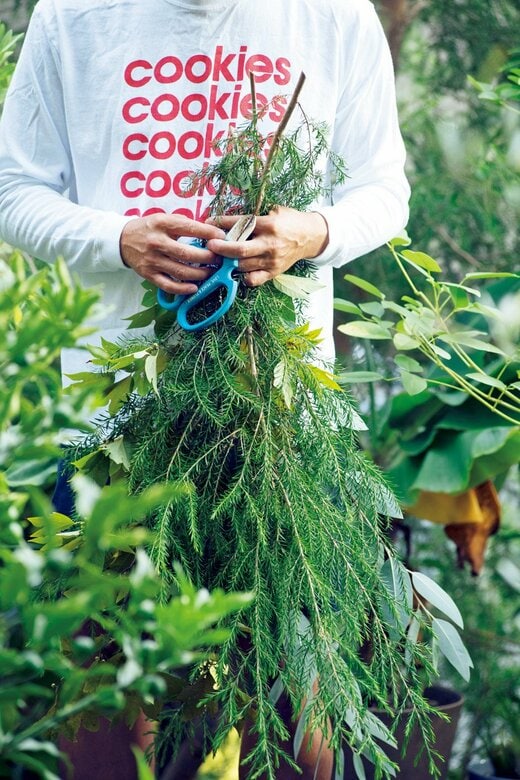 枝の剪定をする人