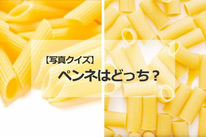 ペンネはどっち？
