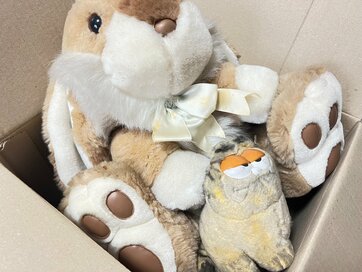 「片づかない50代の家」にありがちなもの3つ。体力があるうちに処分を考えて：2024年11月トップ10