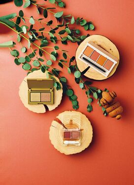 コスパ最高！トレンド秋コスメ9選。550円アイシャドウで目元に奥行きが