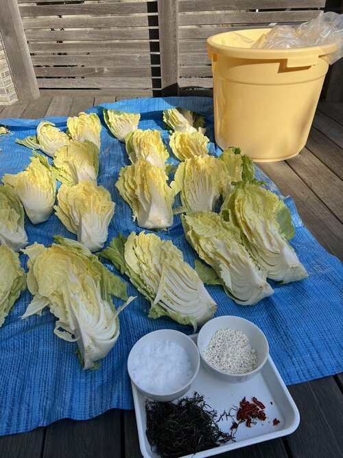 白菜漬物