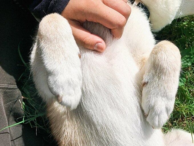 家族をだれよりも甘やかしている