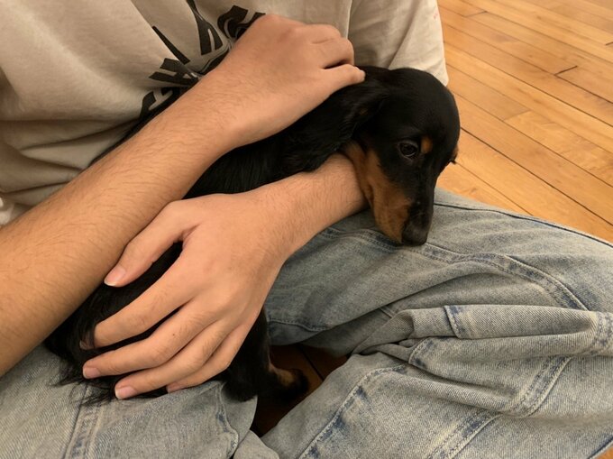 三四郎くんを抱っこする息子さん