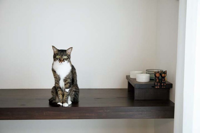 スタディスペース兼キャットウォーク