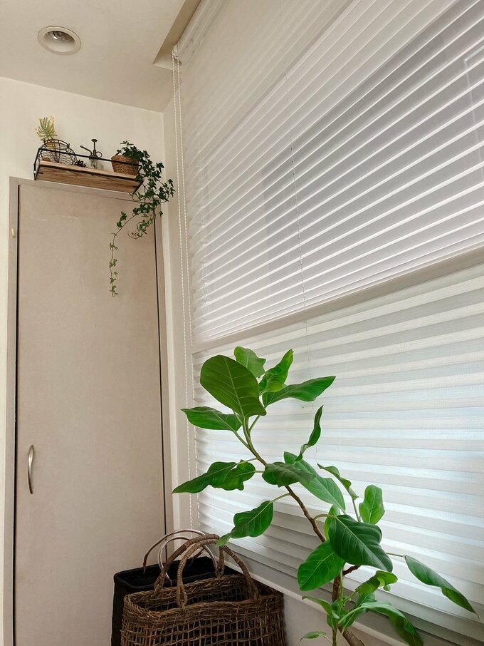 リビングみどり