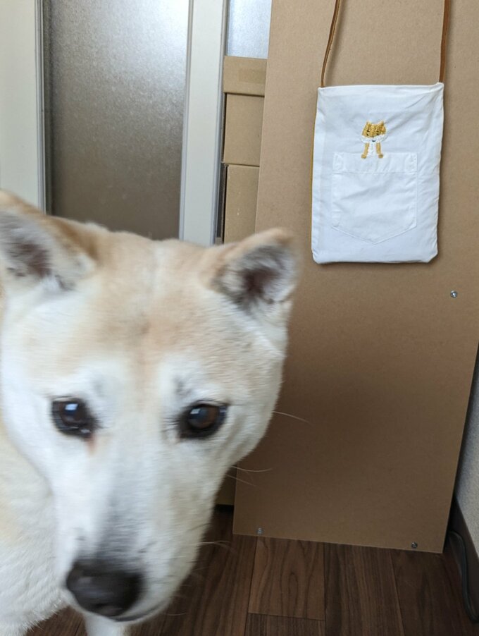 ふうちゃんとふうちゃんグッズ