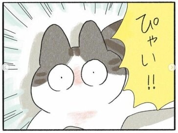 2匹のネコチャンとの暮らしは甘く、愛おしい。漫画「くろもとぽんず」