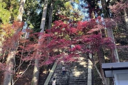 50代「ひとり旅」のコツ。靴、洋服…無理をしないために気をつけた方がいいこと