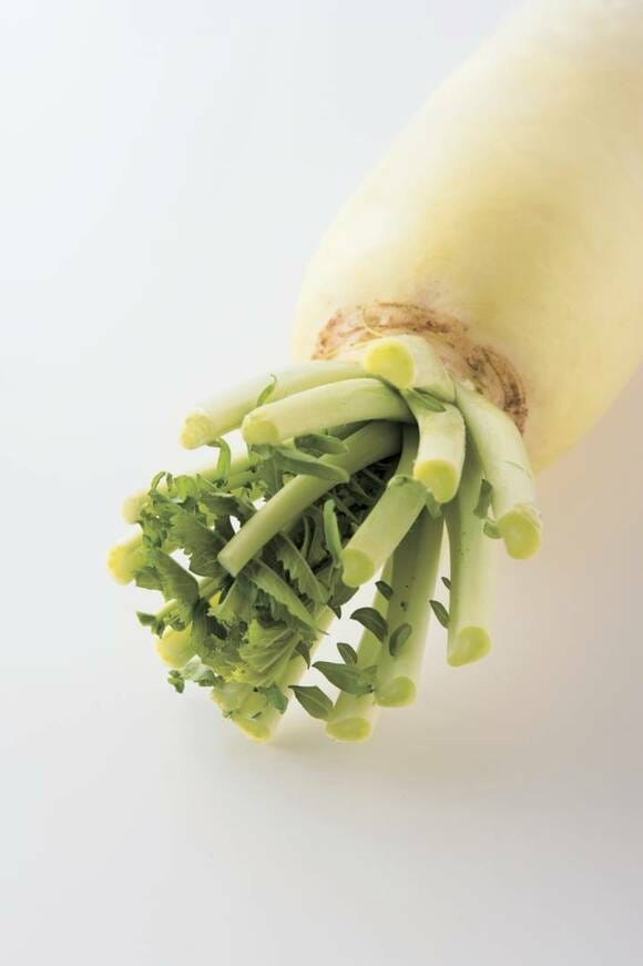 大根の葉部分