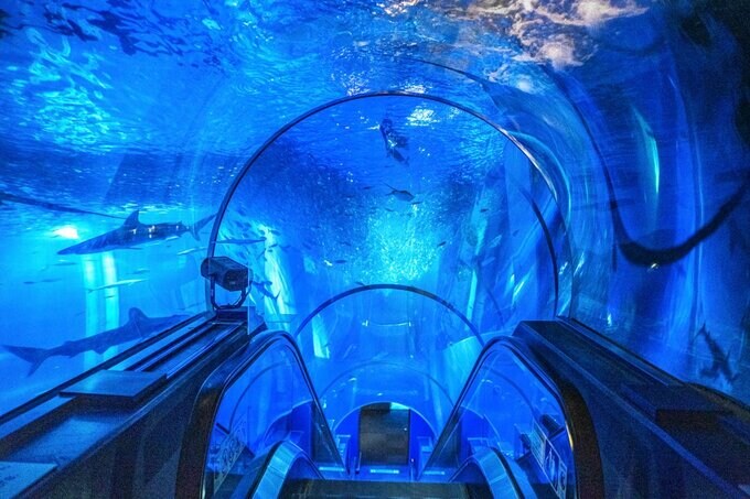 エスカレーター