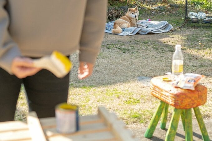 ペンキを持つ人と後ろに犬