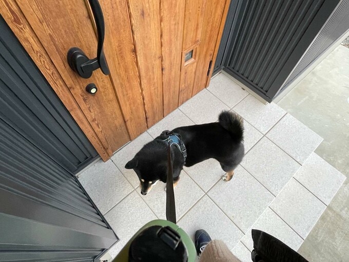 玄関ポーチと愛犬