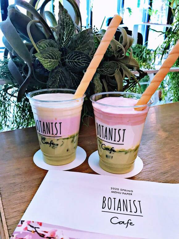 スプリングアイスチョコレート