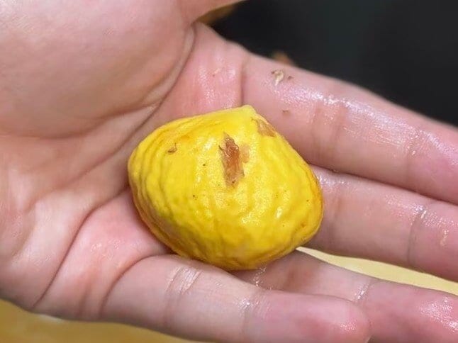 渋皮のむけた栗