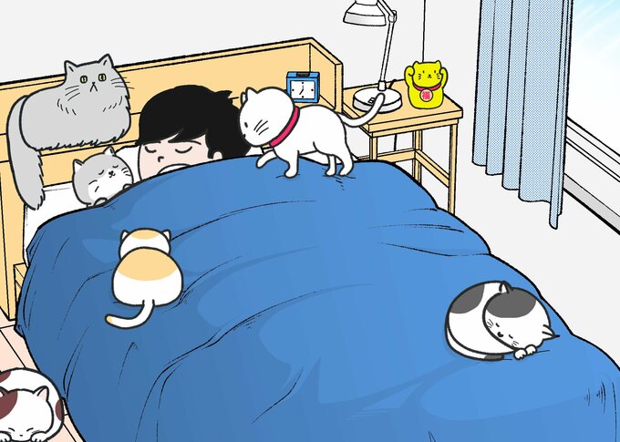 ネコ間違い探し2