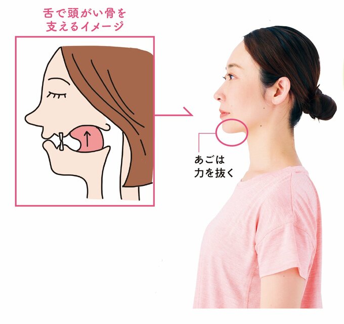 舌に力を入れて上あごにぴったりつける図説