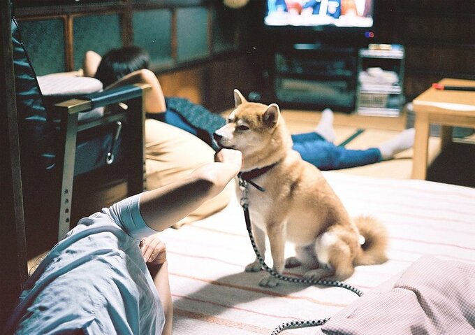 東京に滞在したとき