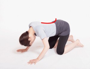 腰にしっかりアーチをつくる