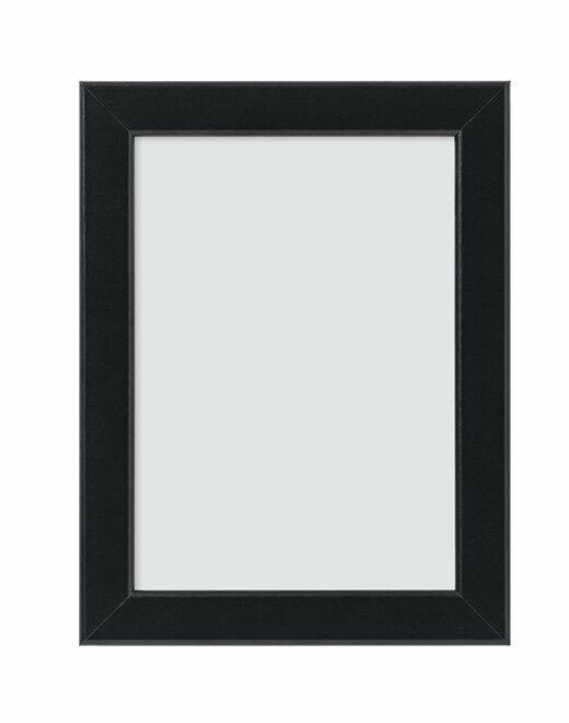 フィスクボーのフレーム