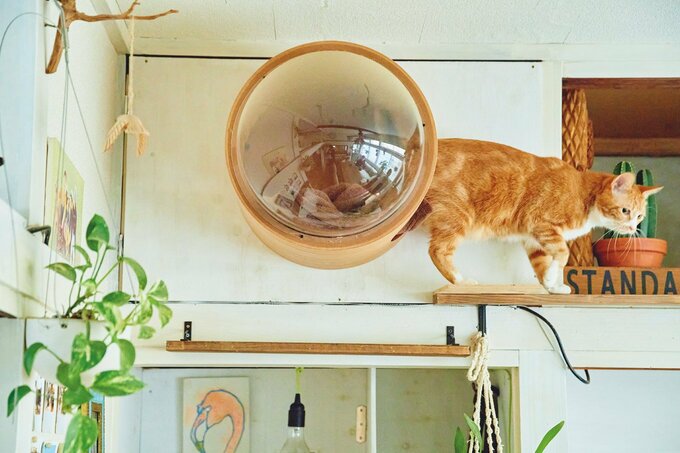 カプセル型の猫ベッド