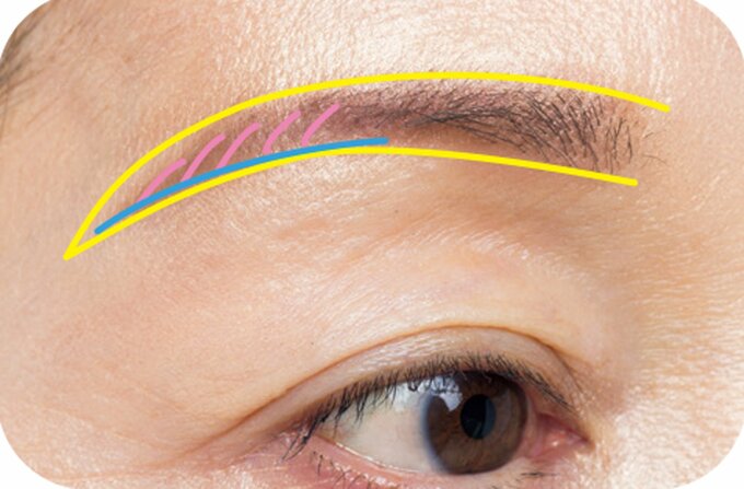 眉色のせる場所