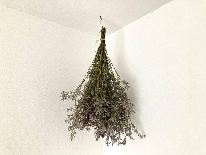 天井にドライフラワー用お花